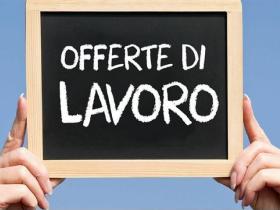 Nuova Sezione LAVORO